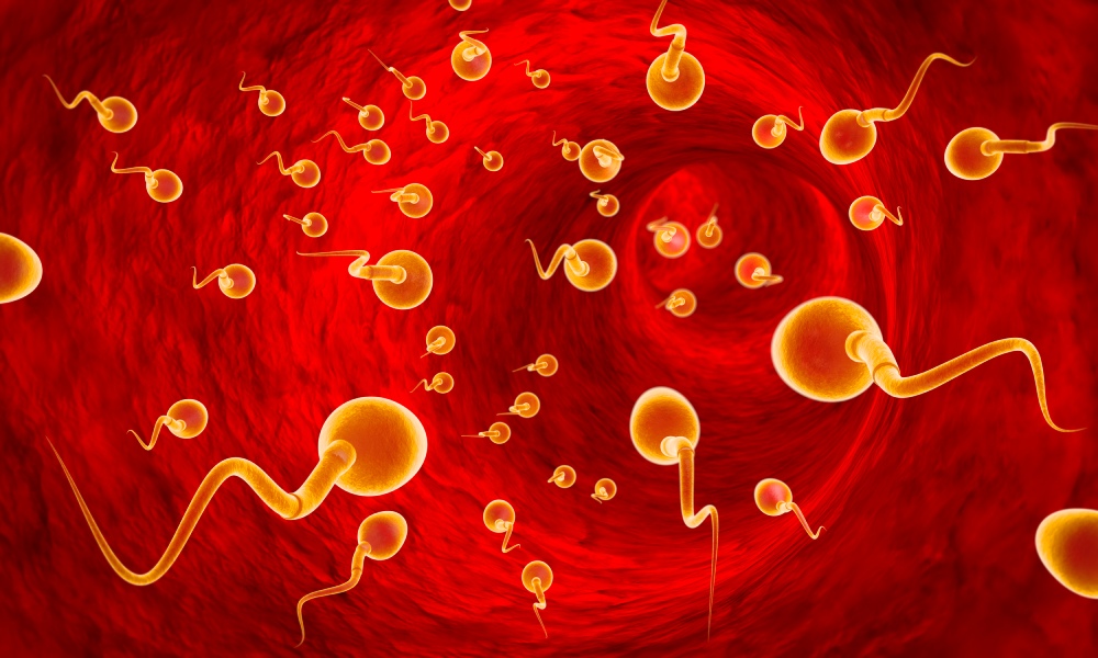 žluté sperma červené černé