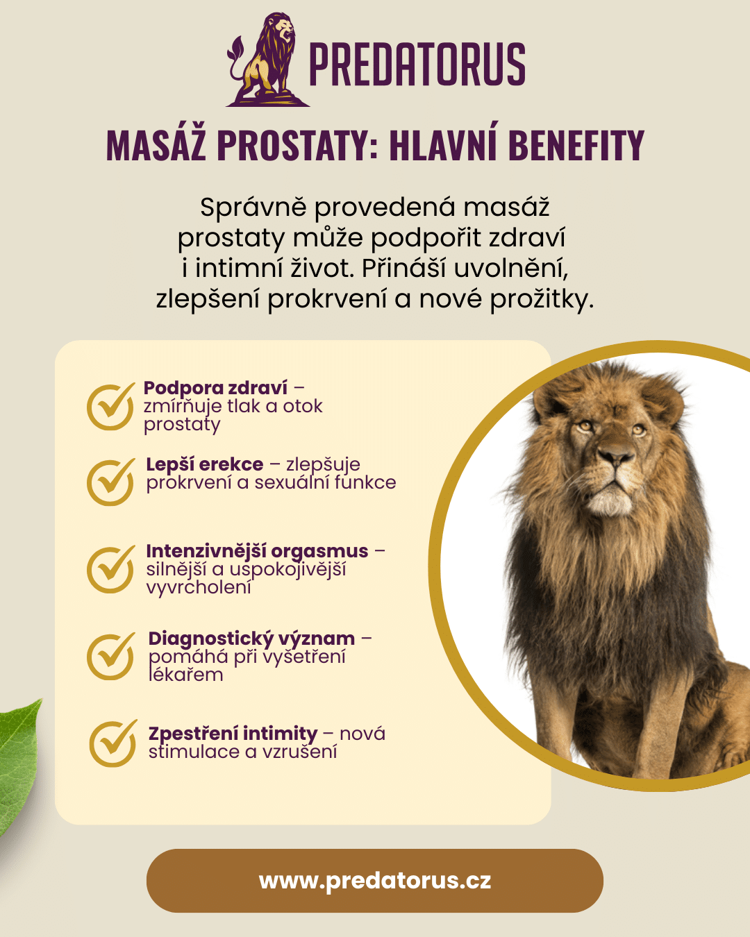 Infografika - Masáž prostaty, hlavní benefity krok za krokem