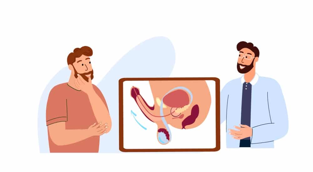 Jak masáž prostaty ovlivňuje erekci?