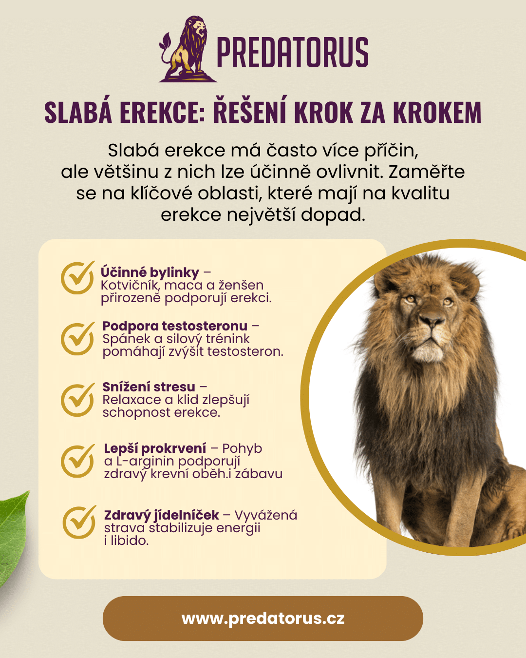 Infografika: Jak zlepšit slabou erekci