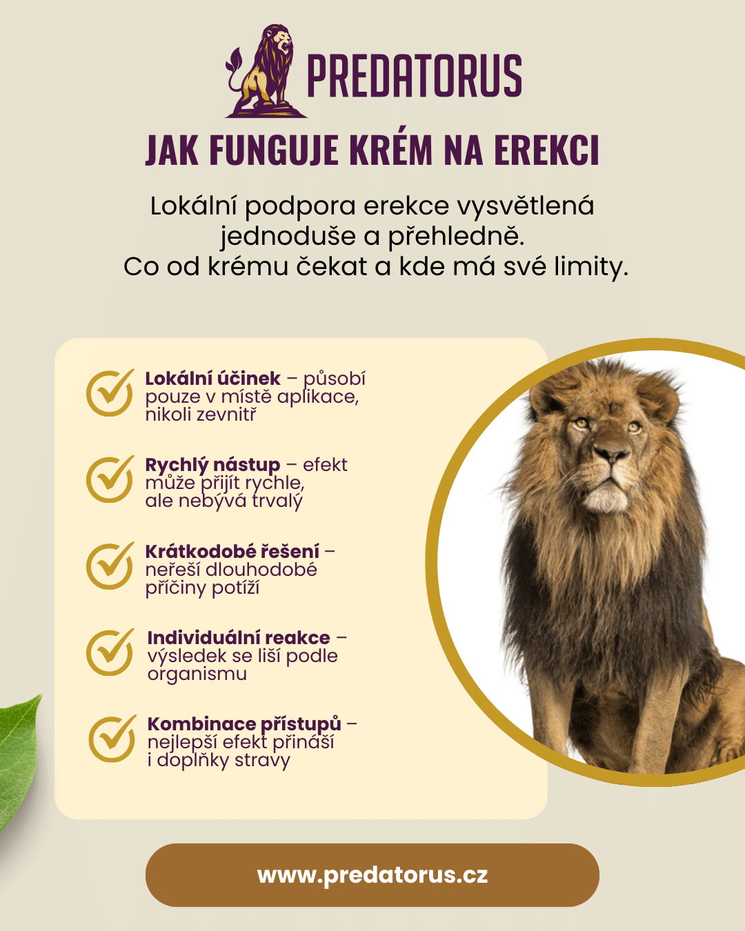 Infografika: Účinky krému na erekci přehledně krok za krokem