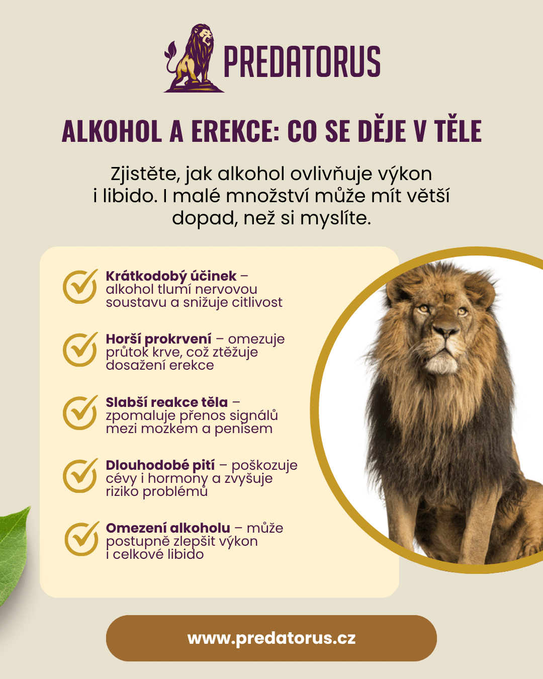 Infografika: Jak alkohol ovlivňuje erekci krok za krokem