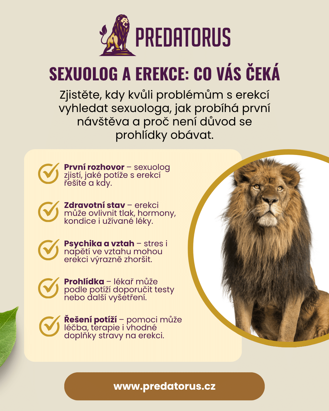 Infografika: Co vás čeká při návštěvě sexuologa kvůli erekci
