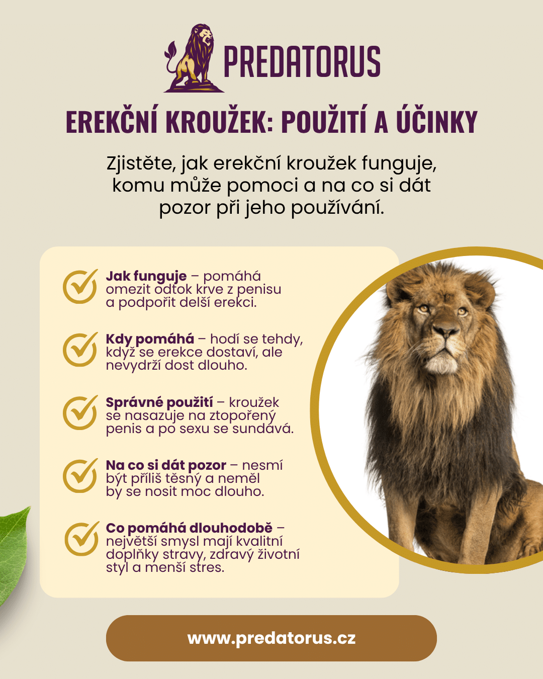 Infografika: Erekční kroužek krok za krokem